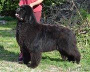 Превью фото № 248768