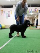 Превью фото № 248791