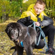 Превью фото № 248792