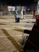 Превью фото № 248806