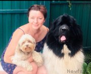 Превью фото № 248813