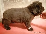 Превью фото № 248837