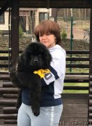 Превью фото № 248849