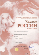 Превью фото № 248851