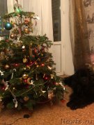 Превью фото № 248875