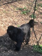 Превью фото № 248877