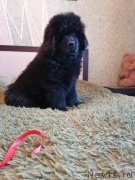 Превью фото № 248879