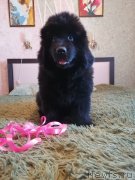 Превью фото № 248880