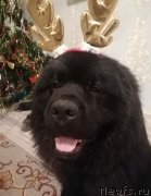 Превью фото № 248894