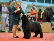 Превью фото № 248898