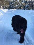 Превью фото № 248903