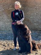 Превью фото № 248915