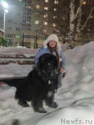 Превью фото № 248916