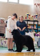 Превью фото № 248945