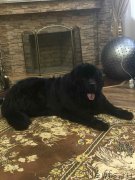 Превью фото № 248952