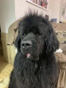 Превью фото № 248954