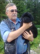 Превью фото № 248967