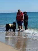 Превью фото № 248968