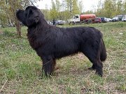 Превью фото № 248971