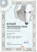 Превью фото № 248987