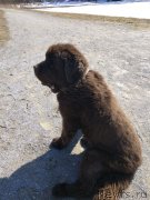 Превью фото № 248993