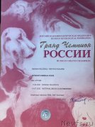 Превью фото № 249010