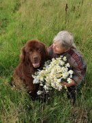Превью фото № 249012