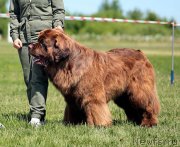 Превью фото № 249019