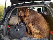 Превью фото № 249035