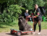 Превью фото № 249039