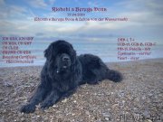 Превью фото № 249047