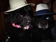 Превью фото № 249049