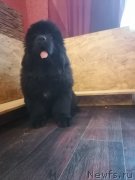 Превью фото № 249089