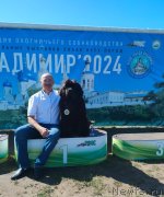 Превью фото № 249098