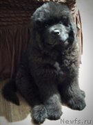 Превью фото № 249121