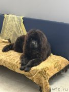 Превью фото № 249122