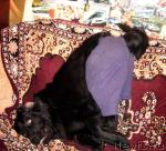 Превью фото № 25044