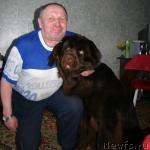 Превью фото № 25207