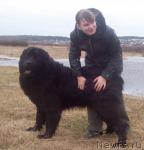 Превью фото № 25465