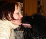 Превью фото № 25647