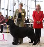 Превью фото № 25705