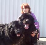 Превью фото № 25816