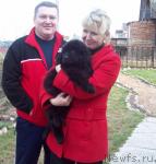 Превью фото № 25917