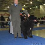 Превью фото № 2602