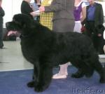 Превью фото № 26119