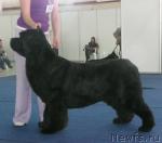 Превью фото № 26131