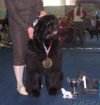 Превью фото № 26179