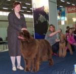 Превью фото № 26184