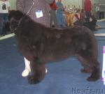 Превью фото № 26193