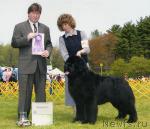 Превью фото № 26219